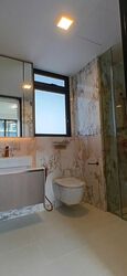 Irwell Hill Residences (D9), Apartment #458136471